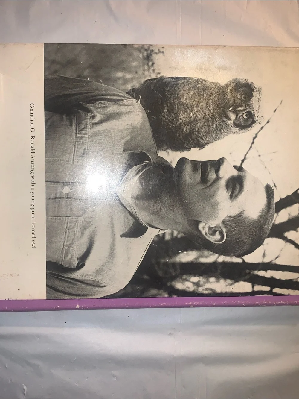 The World of the Great Horned Owl - John B Holy